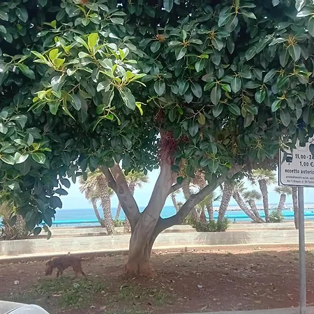La Casetta Sul Mare * Palermo
